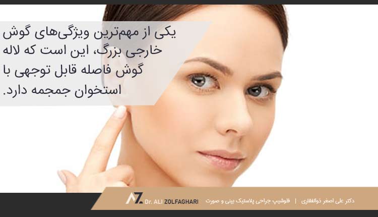 ویژگی های گوش بزرگ چیست؟