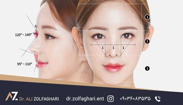 آشنایی با آناتومی بینی | تغییر چهره بعد از عمل بینی