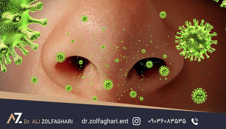 سینوزیت قارچی چیست ؟ نشانه ها، نحوه تشخیص و درمان