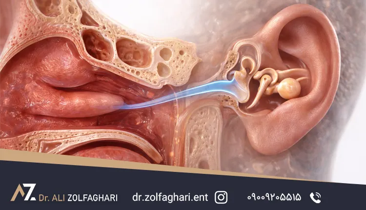 چرا انحراف بینی می‌تواند روی گوش تأثیر بگذارد؟