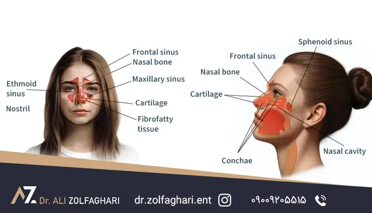 چگونه انحراف بینی را از پولیپ بینی تشخیص دهیم؟